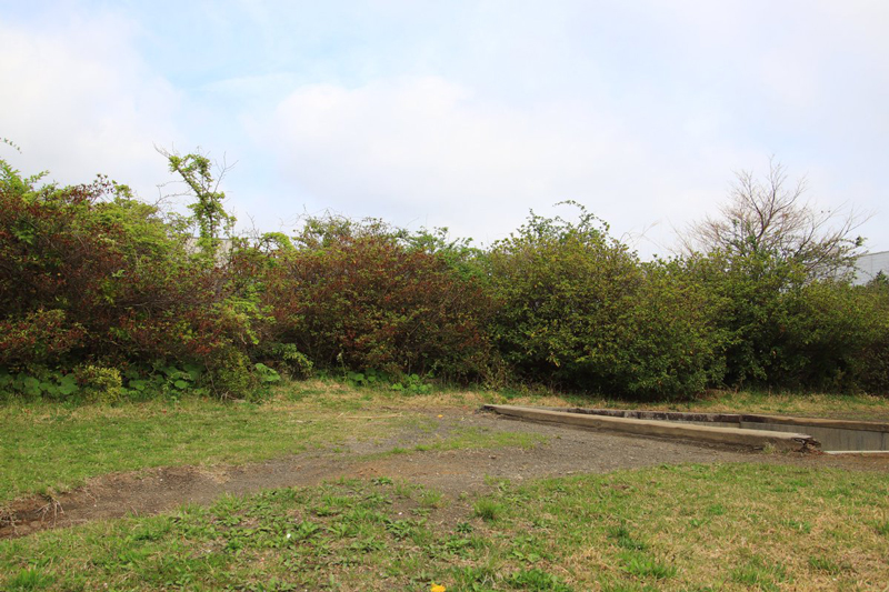 ภาพไวรัล