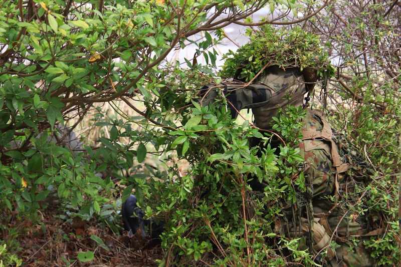 ภาพไวรัล