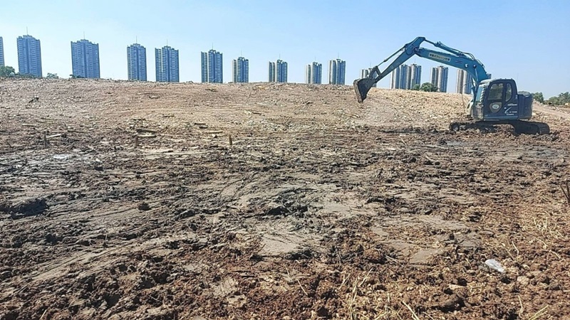 สวนกล้วยอิมแพ็ค