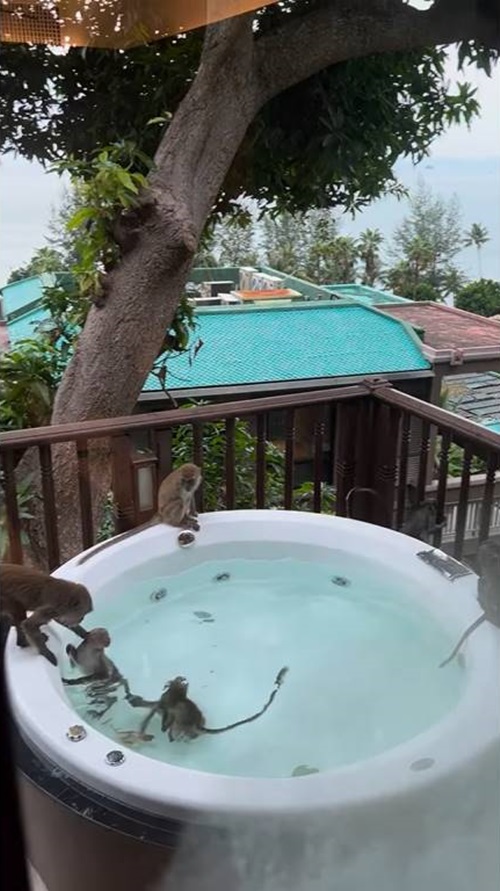 รีวิวโรงแรมแย่