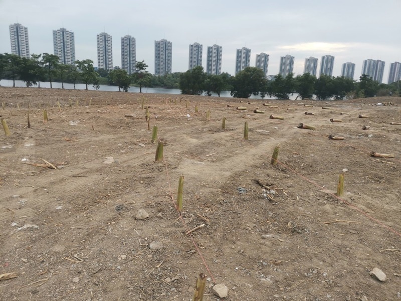 สวนกล้วยอิมแพ็ค