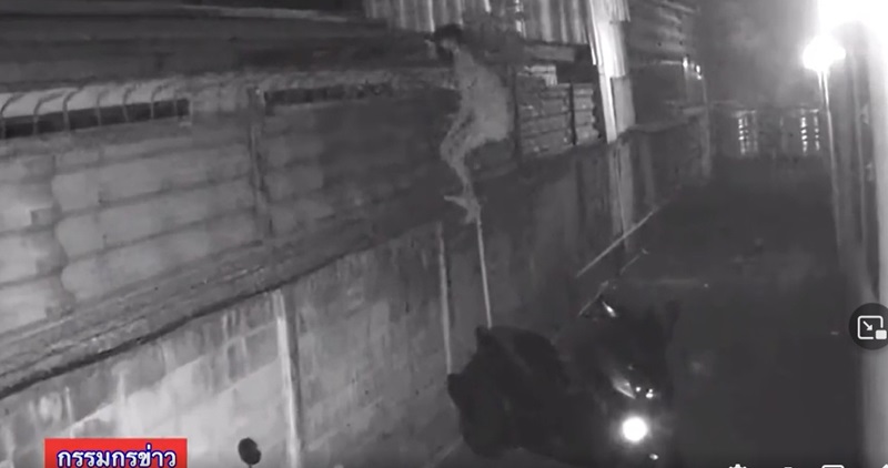 คาร์มัส สุไหงโกลก