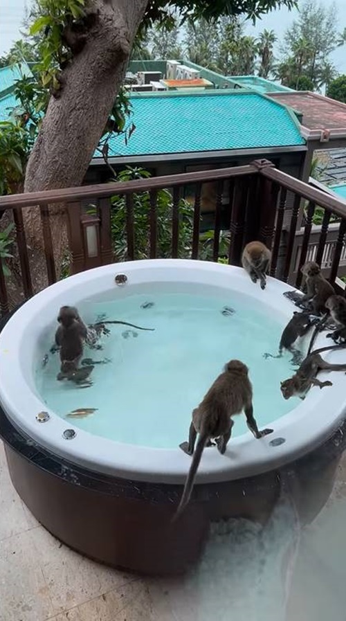 รีวิวโรงแรมแย่