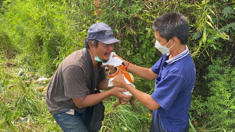 ตามหาหมา