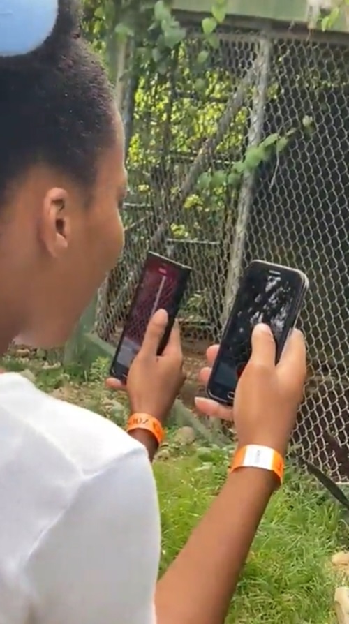 สิงโตกัดคน