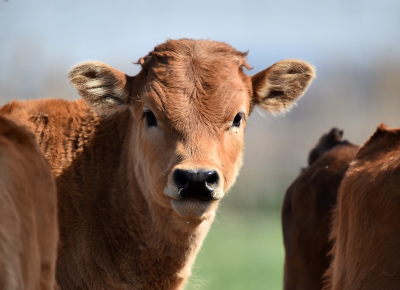 ปัญหาในที่ทำงาน