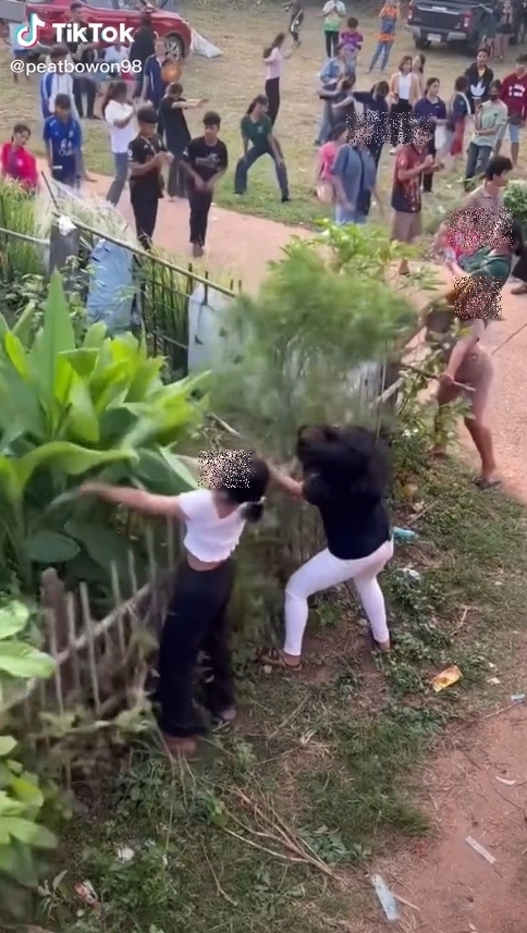 ป้าไล่มนุษย์รถแห่