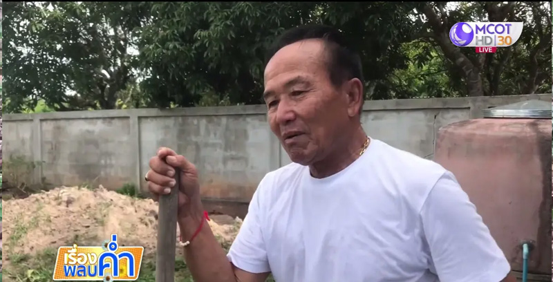 ต้นพญารากหอม