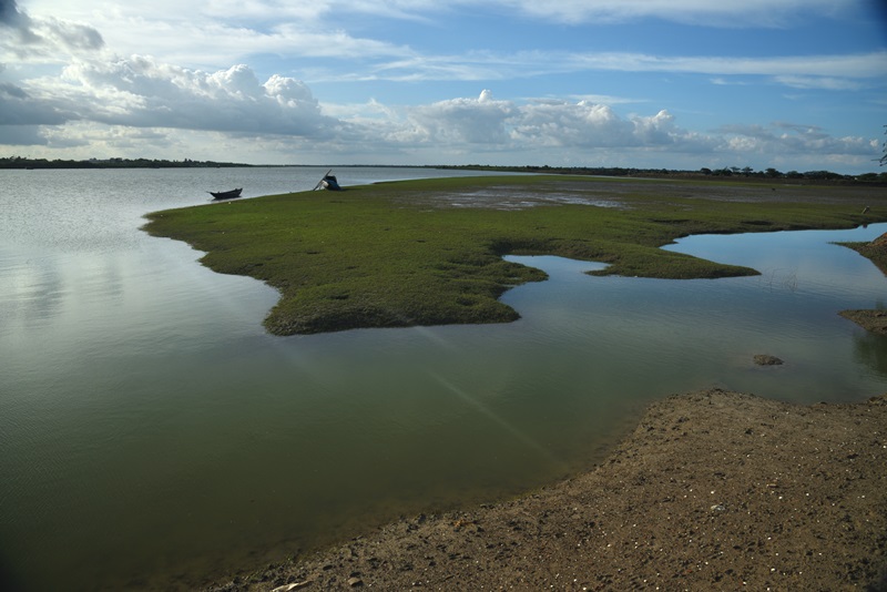 ลักลอบเข้าเมืองเพื่อรักแท้