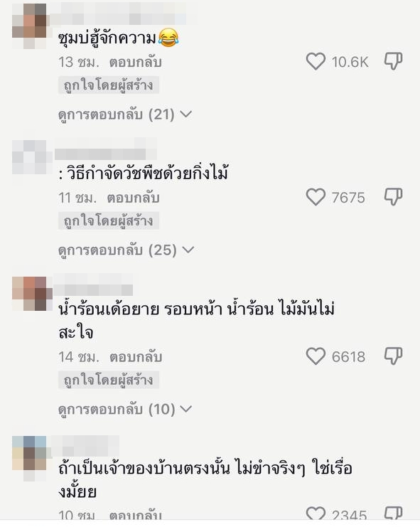 ป้าไล่มนุษย์รถแห่