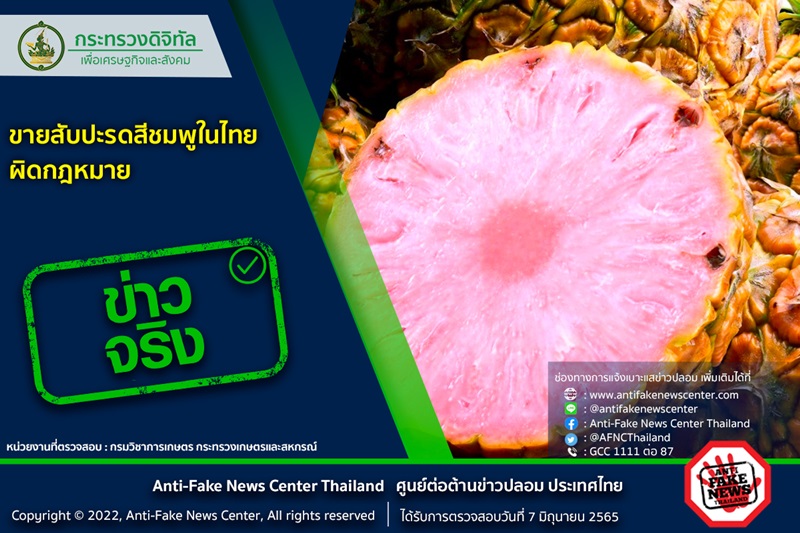 สับปะรดสีชมพู