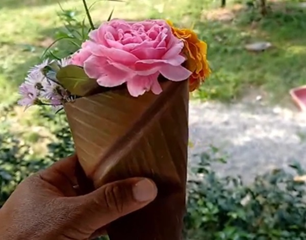 กล้วยแดงอินโด