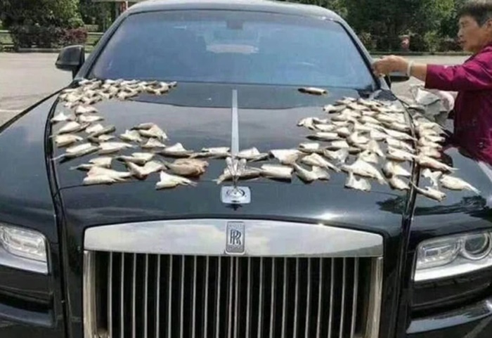 ตากปลาบนรถหรู