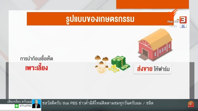 ฟาร์มเห็ดหลอกลงทุน