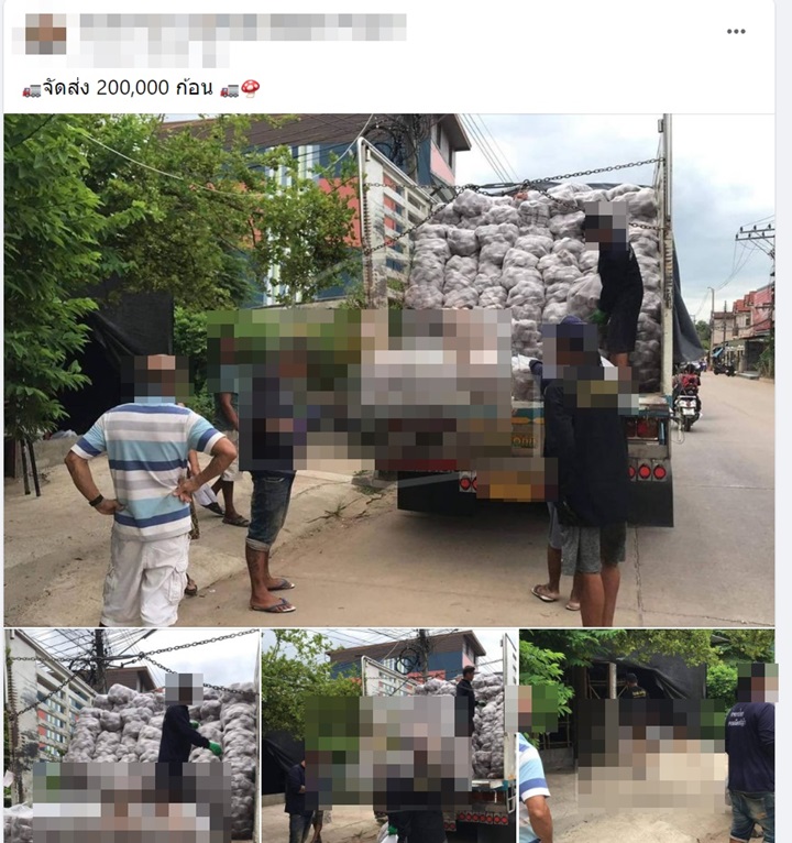 ฟาร์มเห็ดหลอกลงทุน