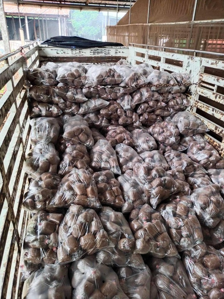 ฟาร์มเห็ดหลอกลงทุน