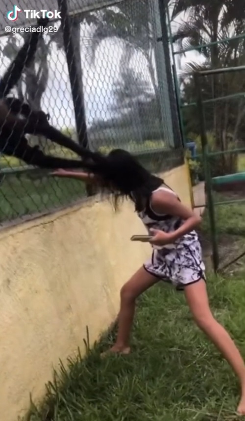 ลิงขยุ้มหัวเด็ก