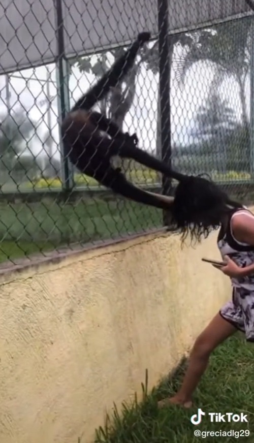 ลิงขยุ้มหัวเด็ก