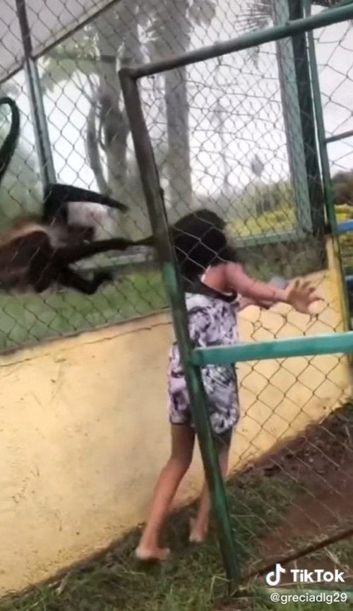 ลิงขยุ้มหัวเด็ก