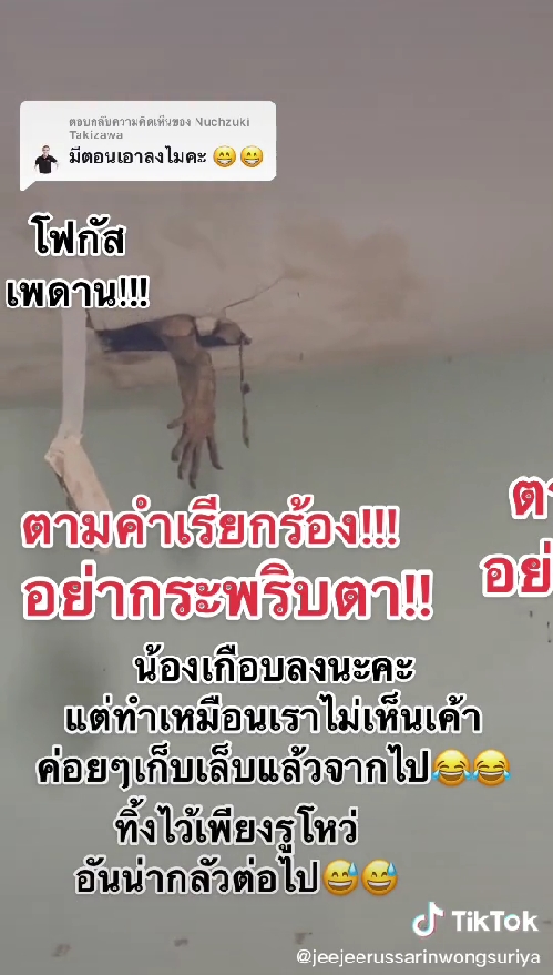 ตัวเงินตัวทอง