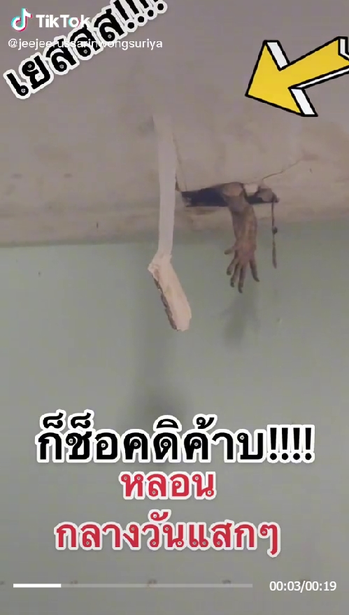 ตัวเงินตัวทอง