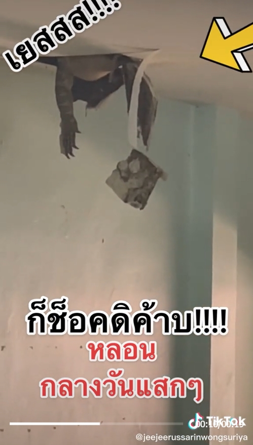 ตัวเงินตัวทอง