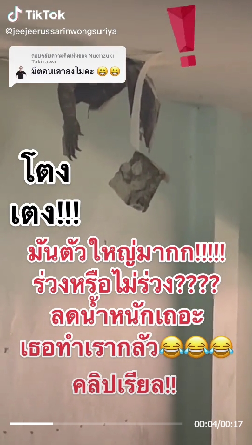 ตัวเงินตัวทอง
