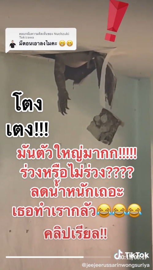 ตัวเงินตัวทอง