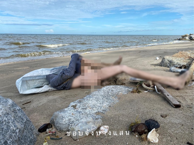 ตุ๊กตายางเกยหาด