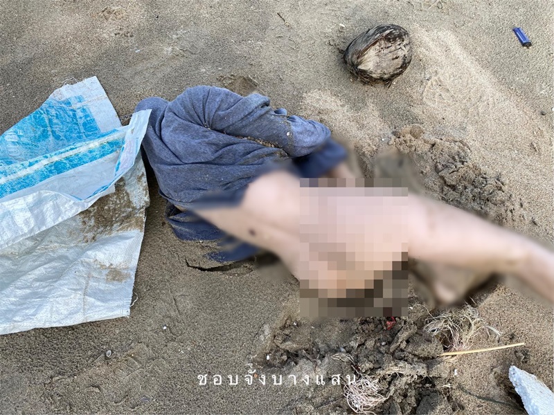 ตุ๊กตายางเกยหาด