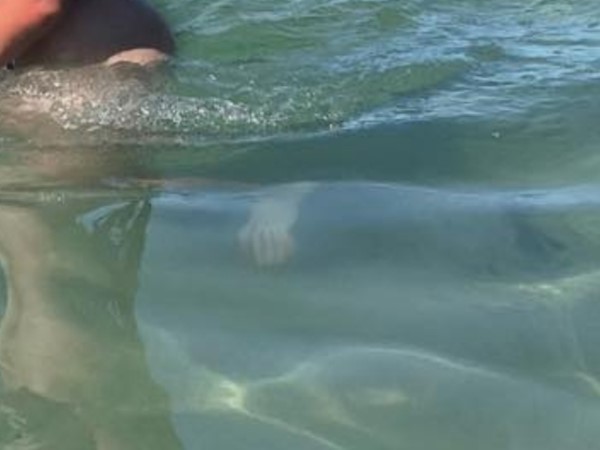 ภาพหลอน