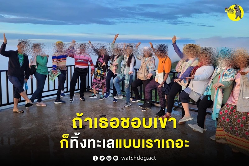 ดูงานเขาค้อ