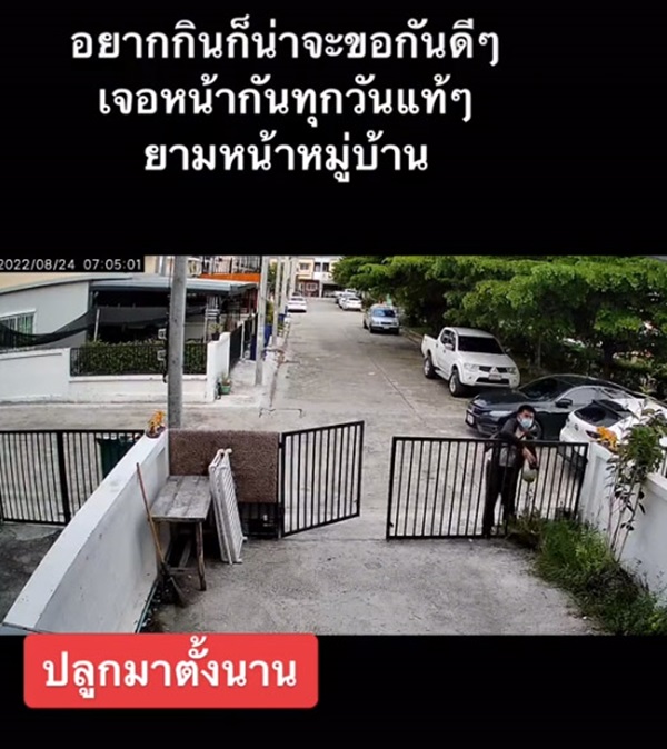 รปภ. ขโมยแตงโม