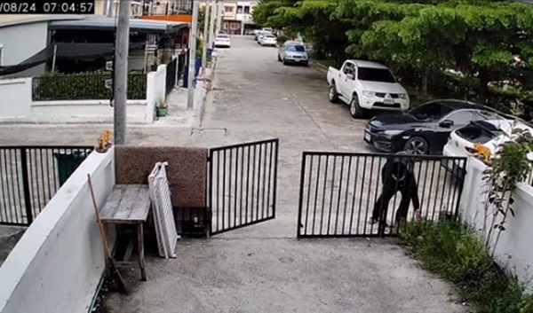 รปภ. ขโมยแตงโม