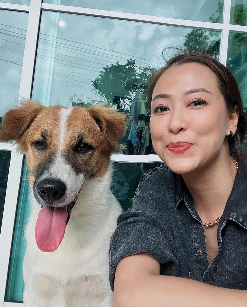 ตามหาสุนัข