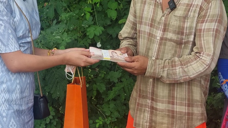 ตามหาสุนัข