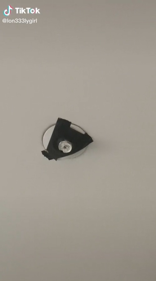 หนอนร่วงจากเพดาน