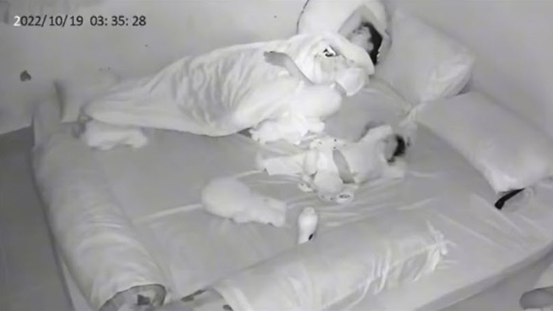 โจรดึงขา