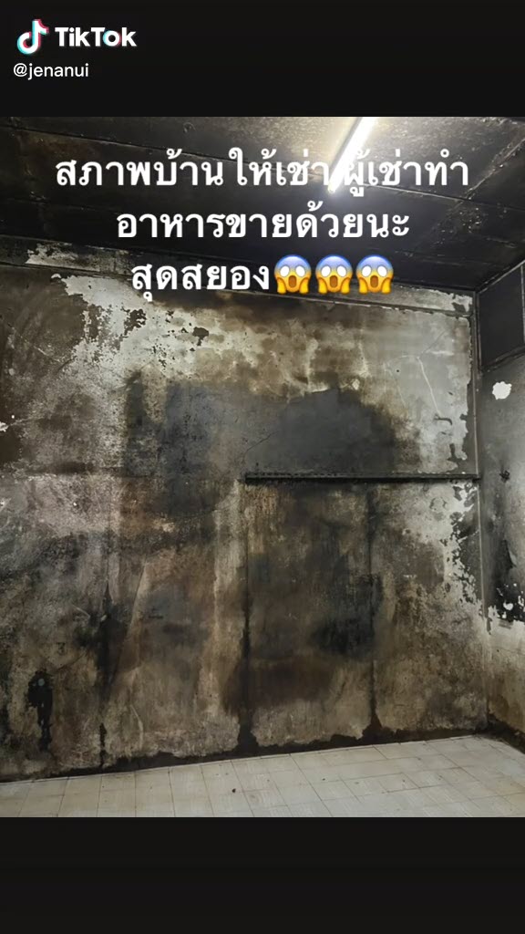 บ้านเช่า