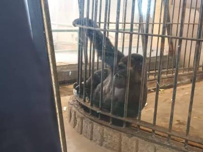 สวนสัตว์พาต้า