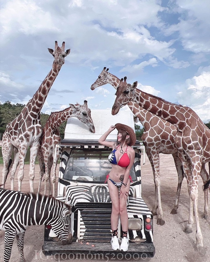 จาง ซีซี 