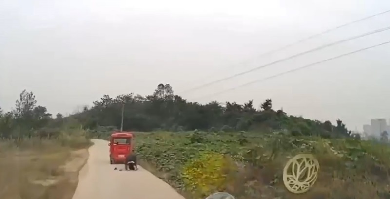 เซ็กส์ในที่สาธารณะ