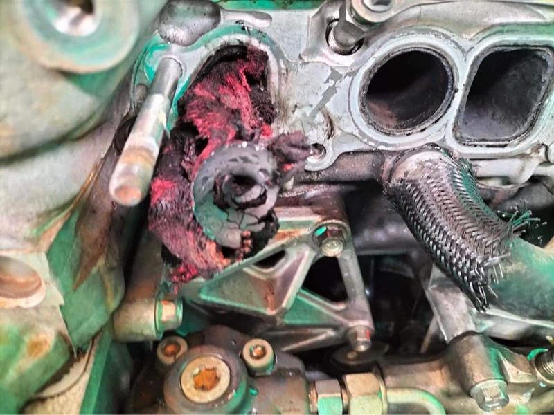 ช่างเลี้ยงแกะ