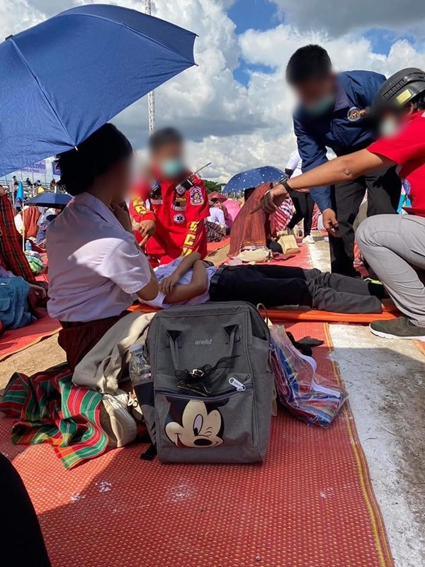 งานพับตุ๊กตาช้างสุรินทร์