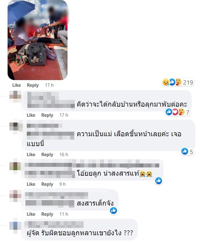 งานพับตุ๊กตาช้างสุรินทร์