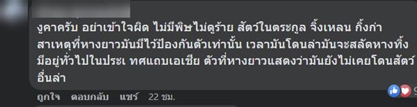 สางห่า