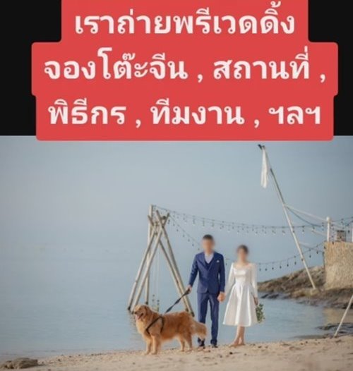 ออแกไนซ์เทงานแต่ง