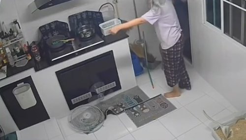 แมวตกน้ำ