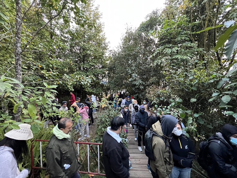 เที่ยวปีใหม่