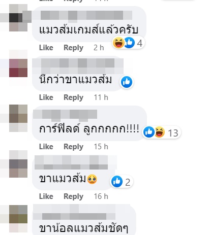 ขาแกะ iron chef